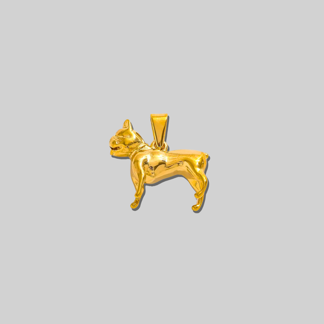 The Dog Charm