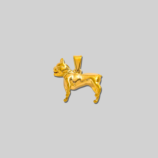The Dog Charm