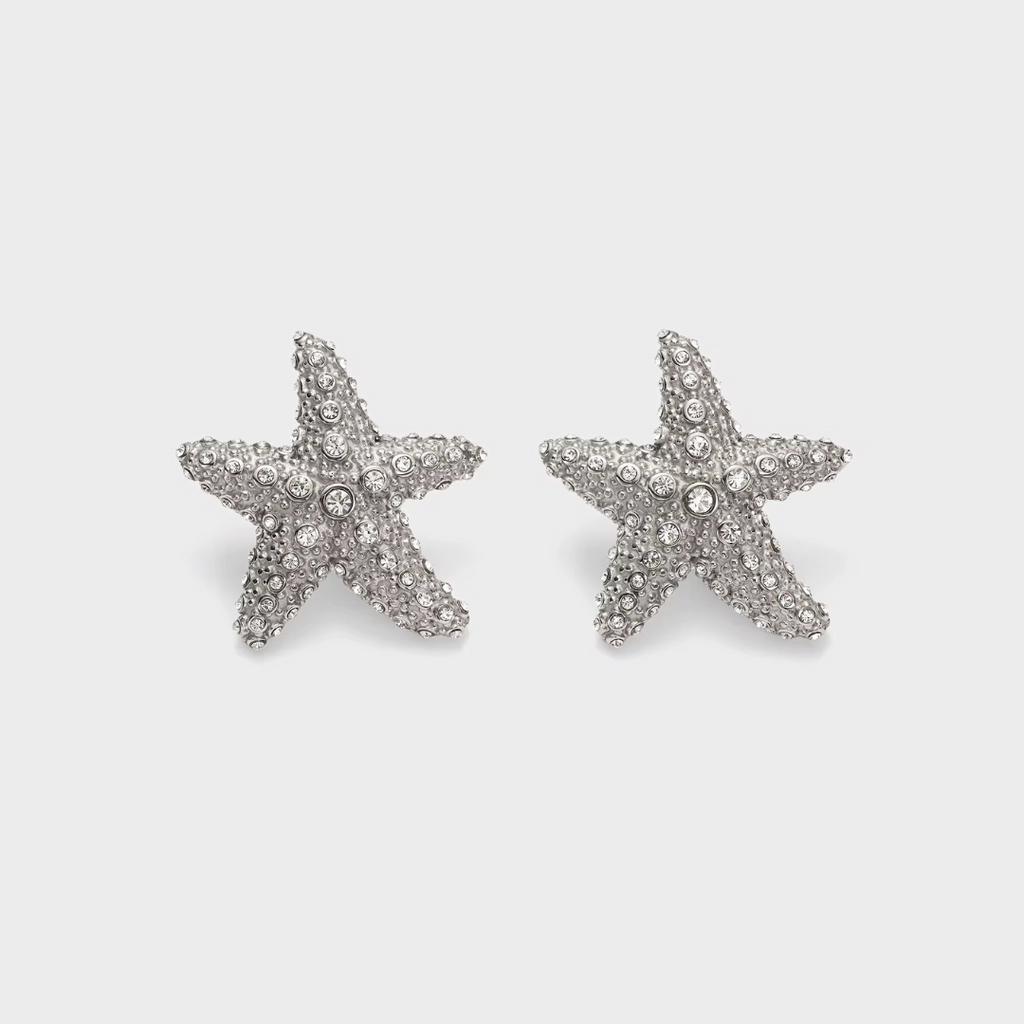 La Estrella Statement Earrings | Silver Hue