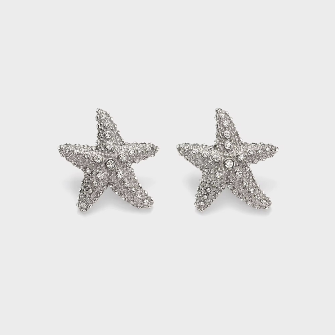 La Estrella Statement Earrings | Silver Hue
