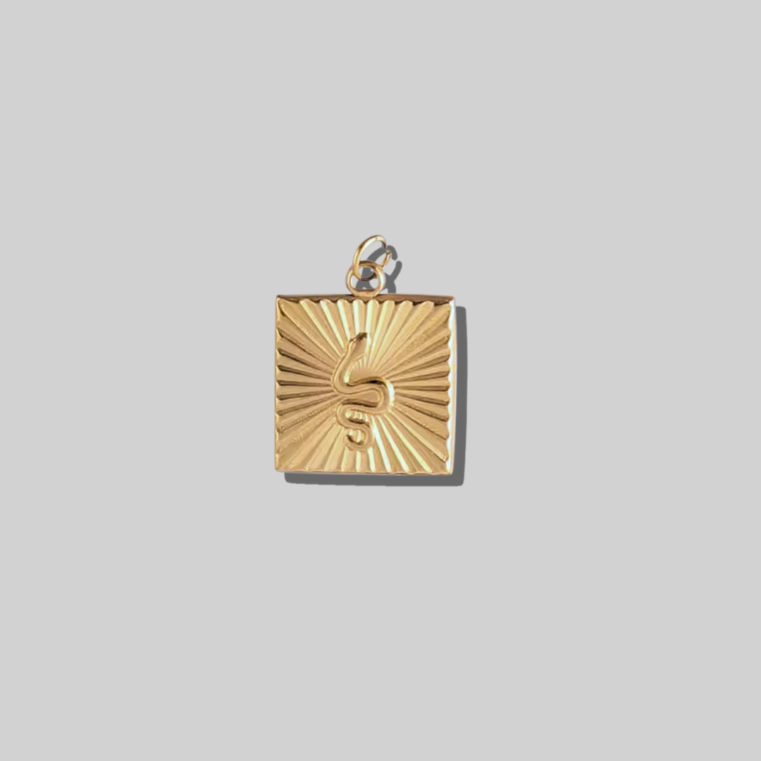 Snake Square Pendant