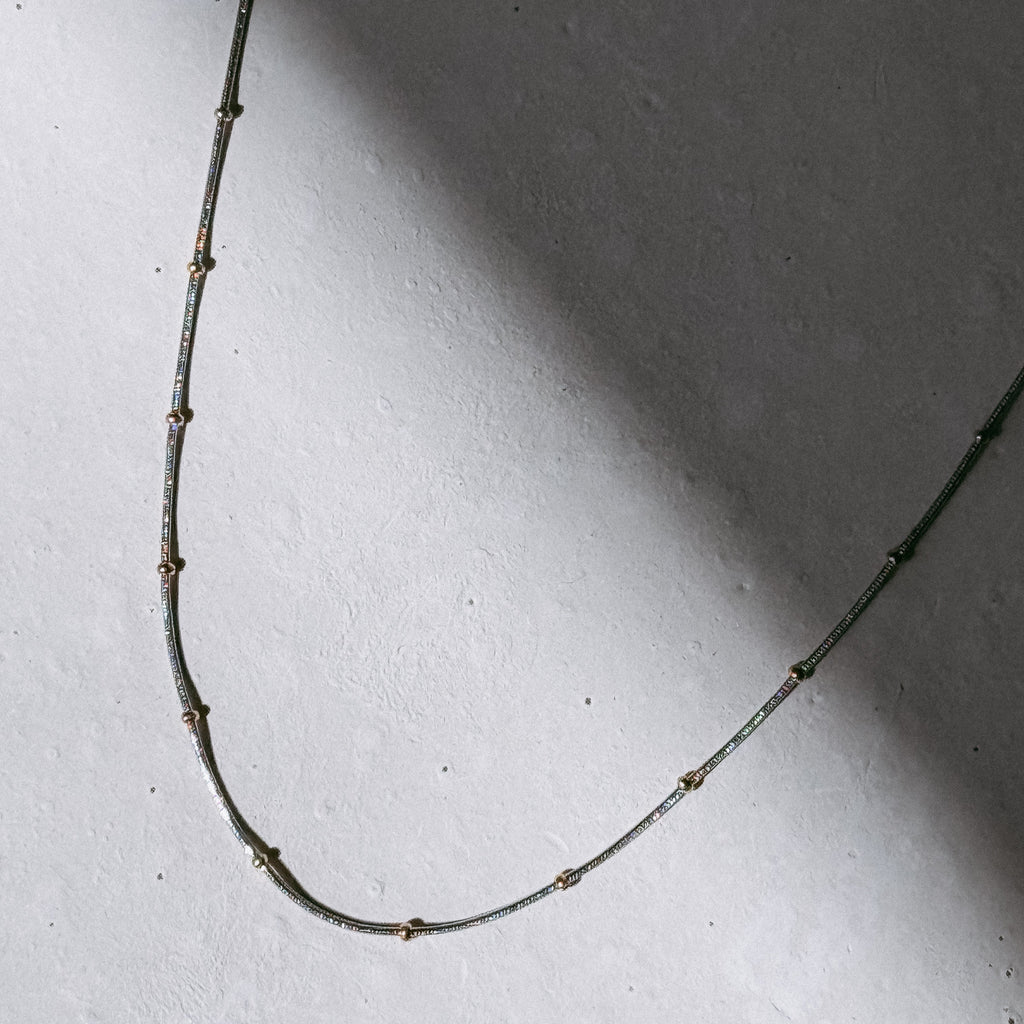 Sabina Snake Chain Necklace | Mixed Hue