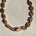 Cowrie Simulated Shell String Necklace