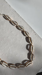 Cowrie Simulated Shell String Necklace | Acrylic